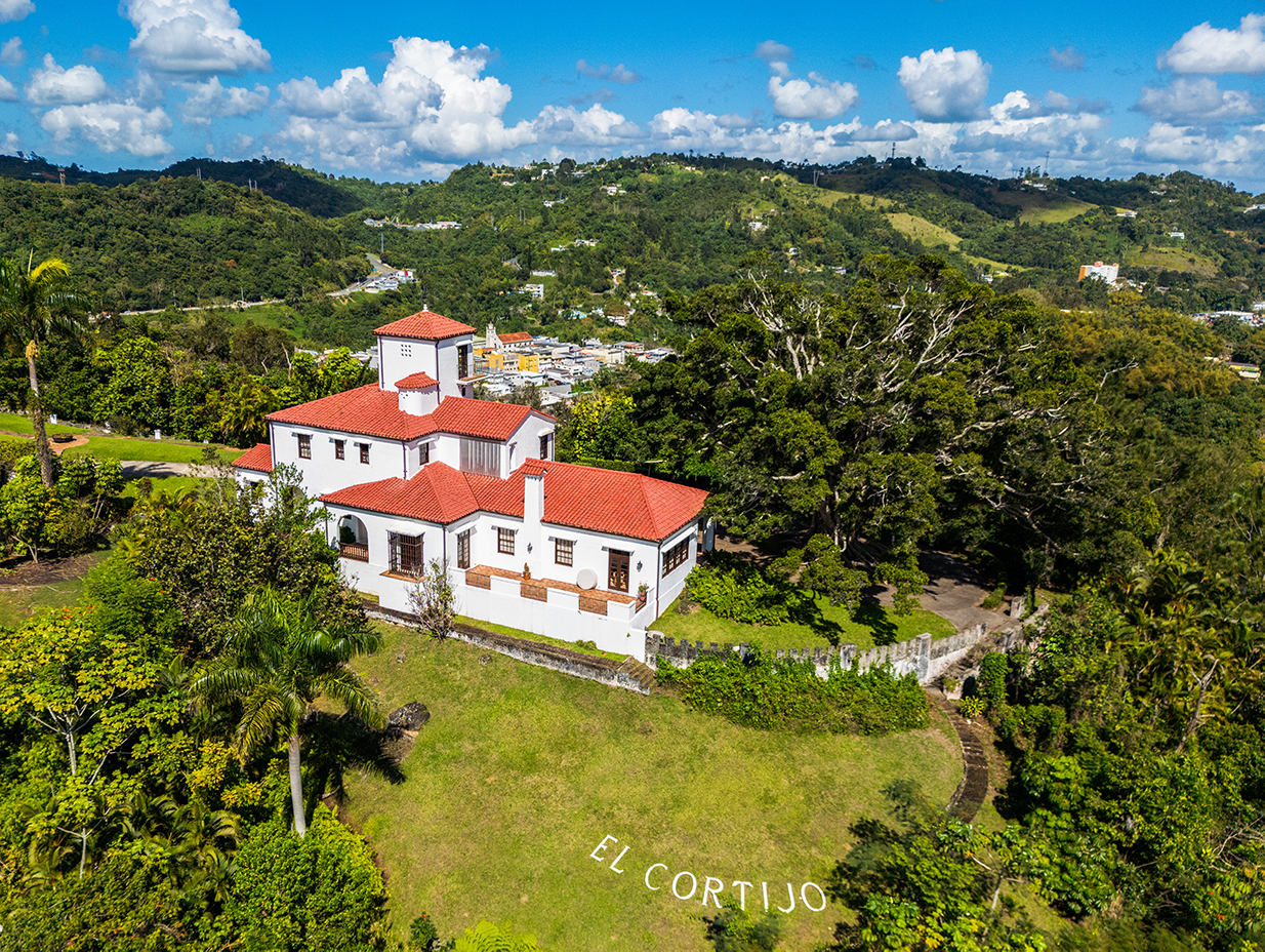 Castillo El Cortijo